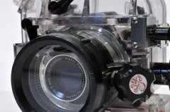 nothing lost in translation