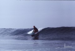 panache, eat your heart out!