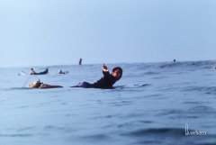 shakekai? shakakekai?