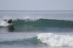 tis the season
| photo @gayla__b