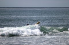 buh-bye.
| photo @gayla__b