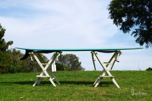 Look closely and there is a tiny belly