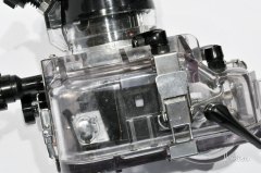 like a bug encased in resin