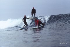 but it's still a crowd